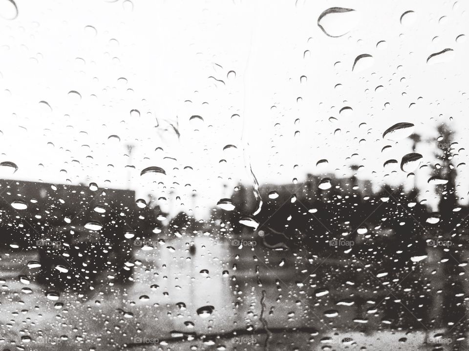 Windshield Raindrops