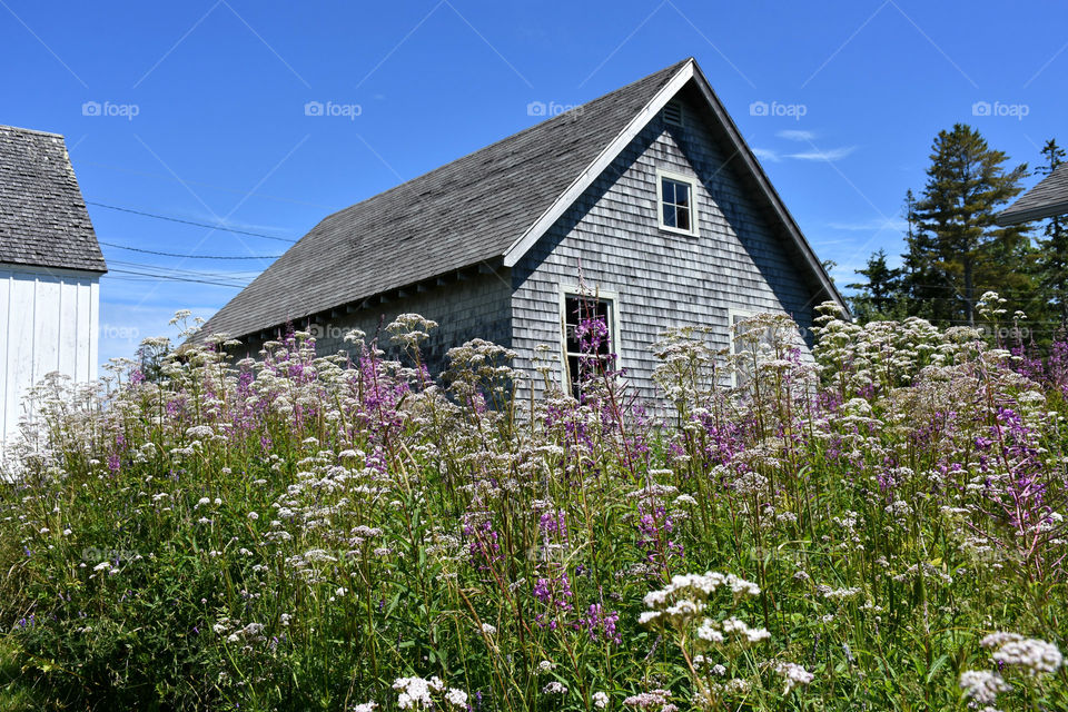 Maine cottage