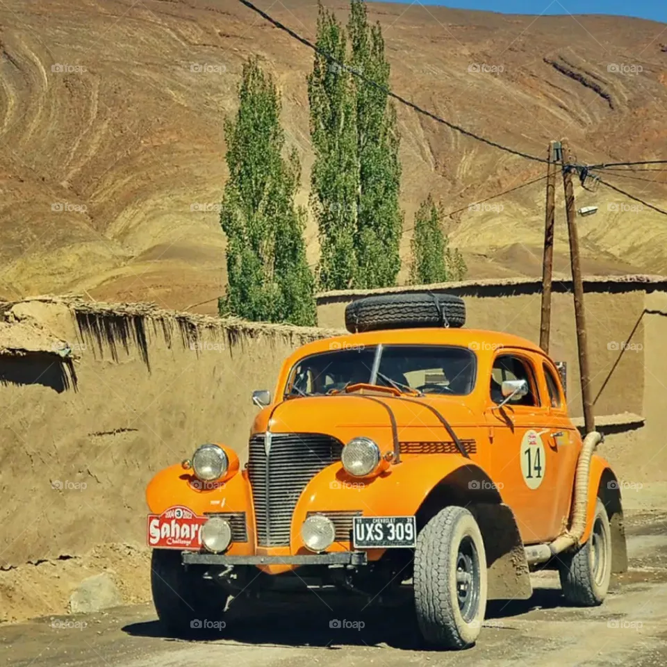 travel tours