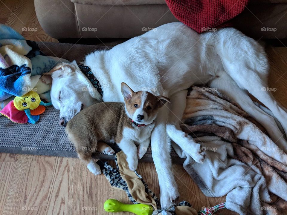 I am taking of of my bro