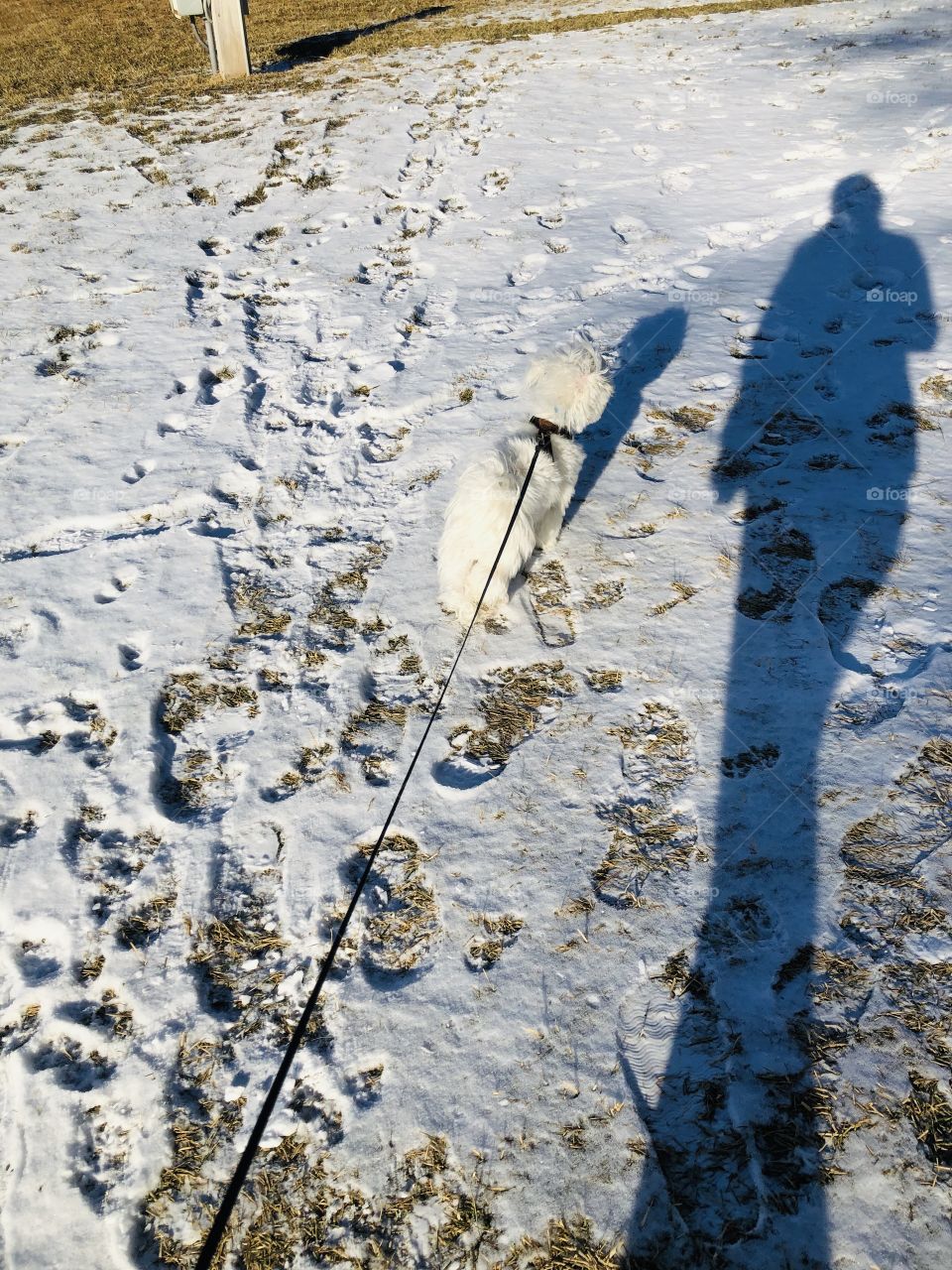 Winter with my best friend 