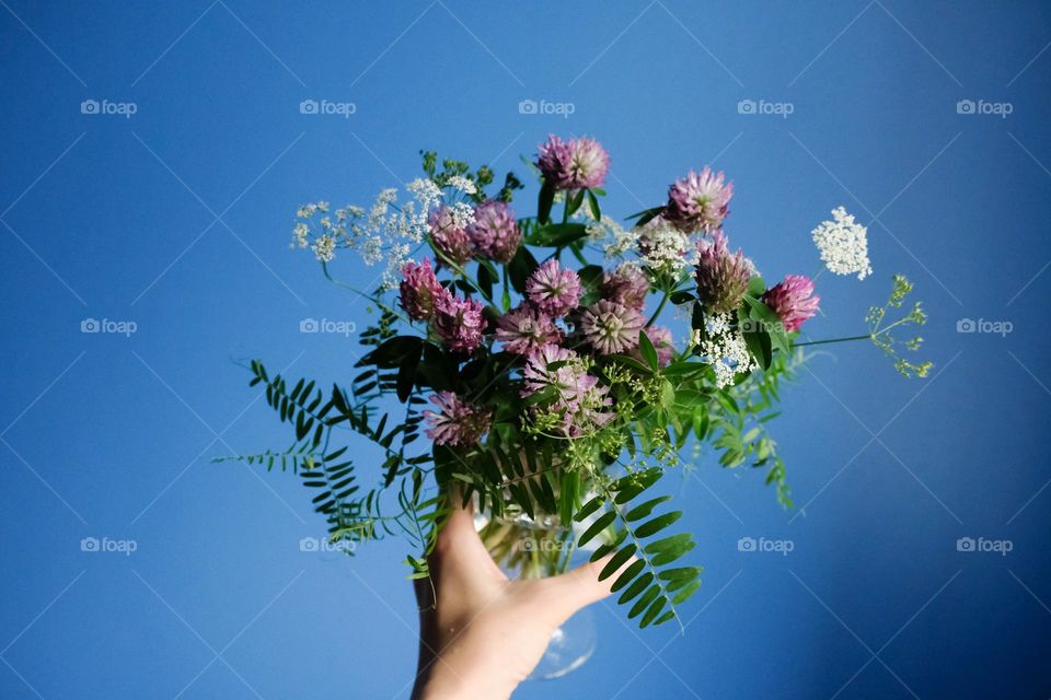 A hand holds a bouquet of clover and wildflowers in a glass on a blue background