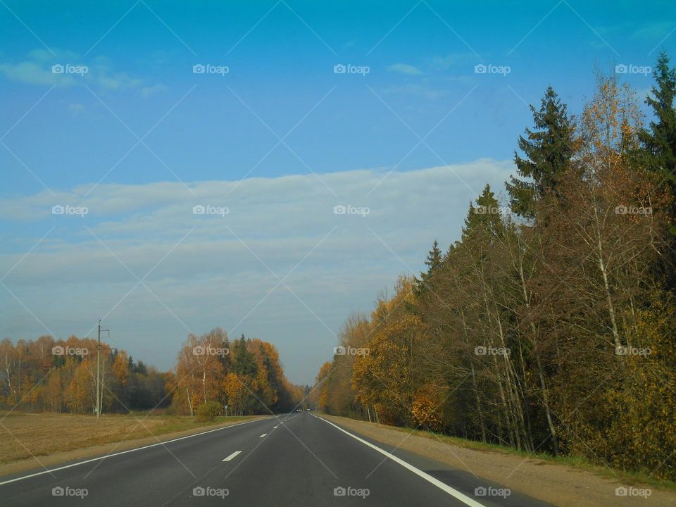 road trip window car view