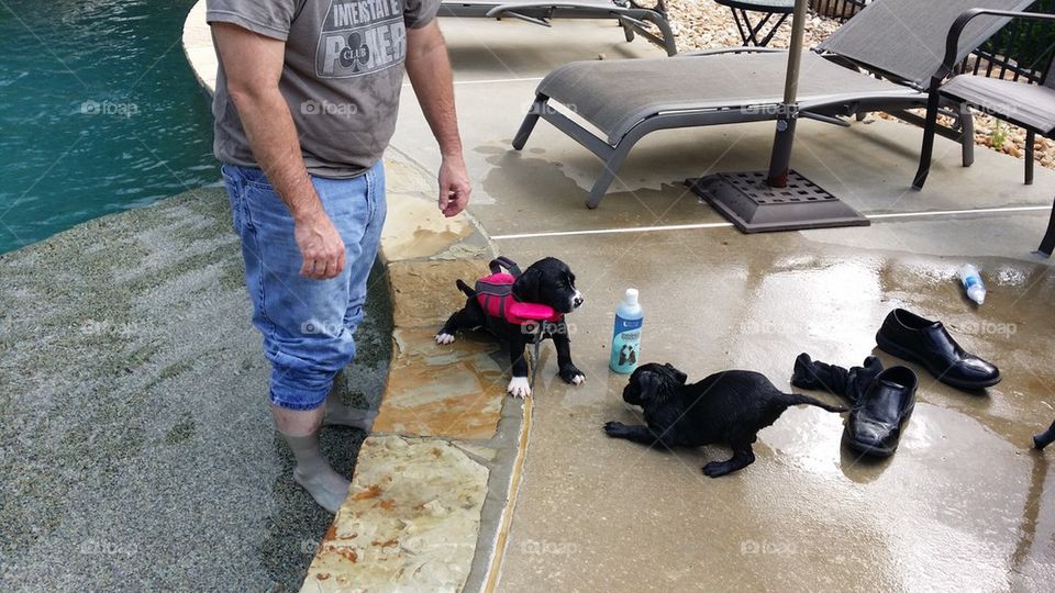 Bath time in the pool