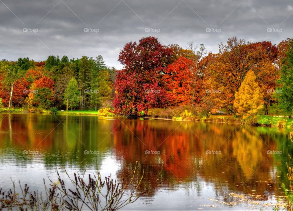 Autumn by the Lake