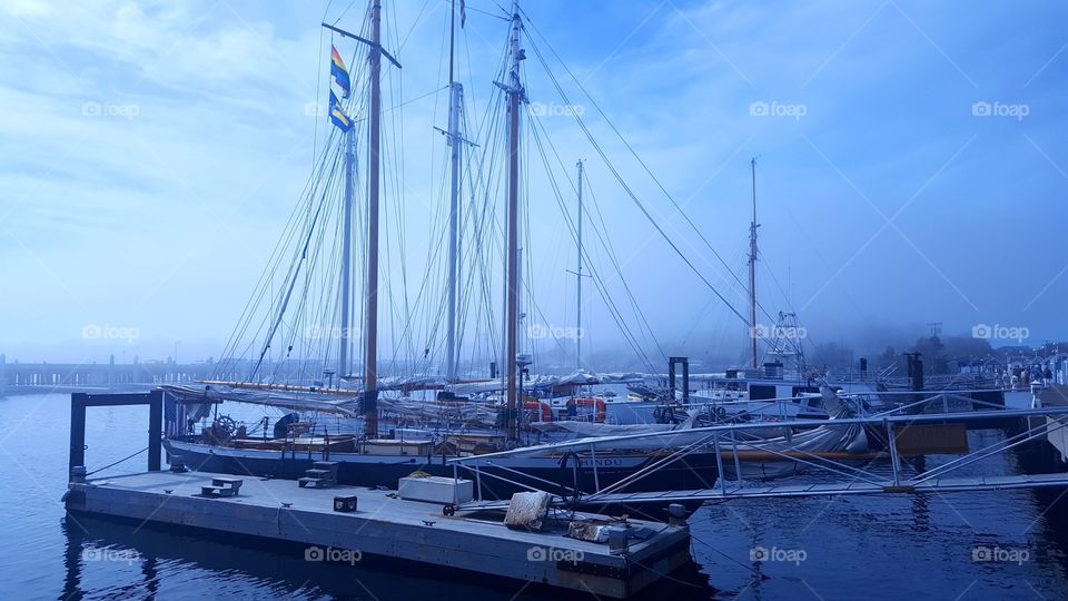 a very foggy morning before our sailing trip in Capecod