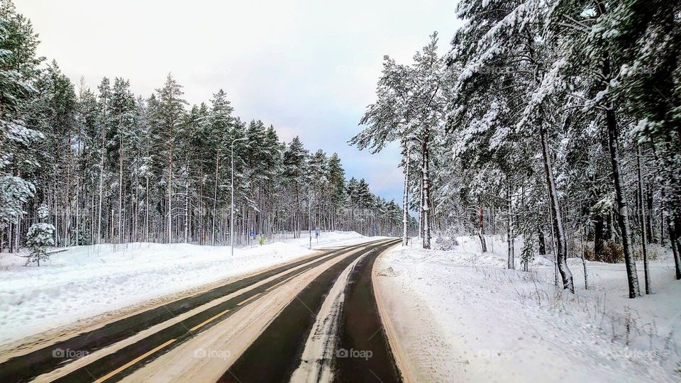 Winter roads ❄️ Forest ❄️ White time ❄️