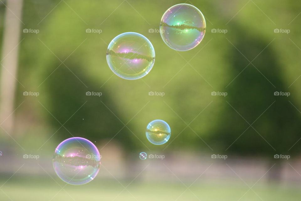 bubbles in the breeze