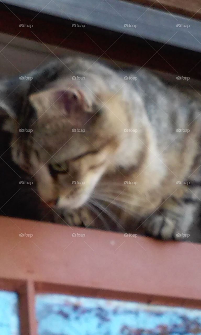 Carolina looking outside her window