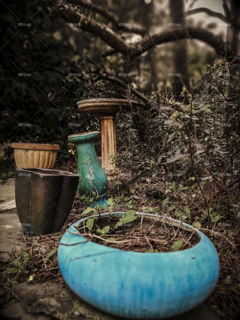 flower pots and bird baths in need of flowers