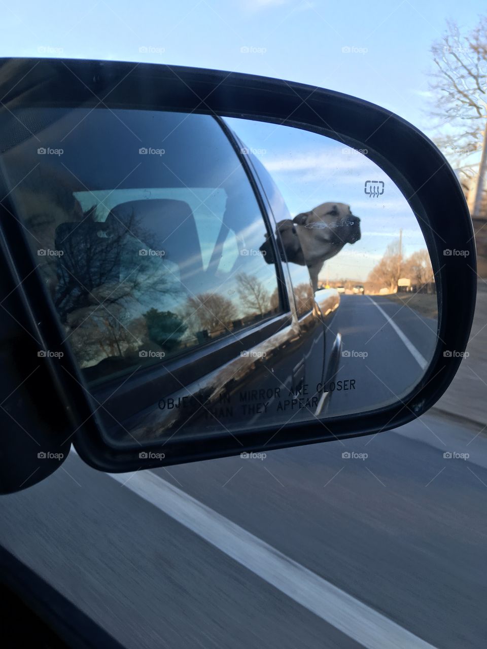 A ride back from the vets from his yearly shots. Watching him through the mirror.
