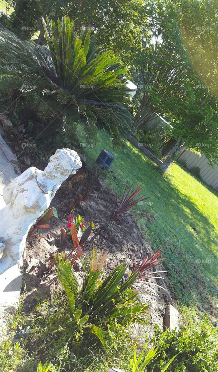 flowerbed in backyard