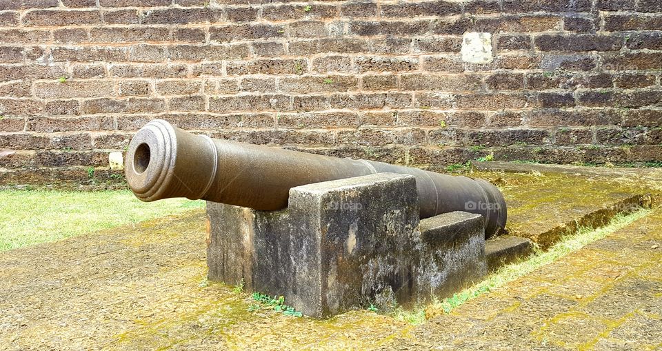 cannon