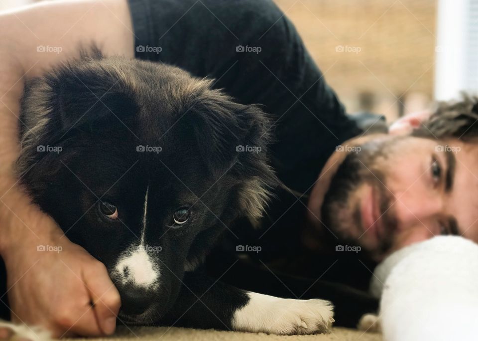 Dog, Portrait, Cute, Pet, Canine