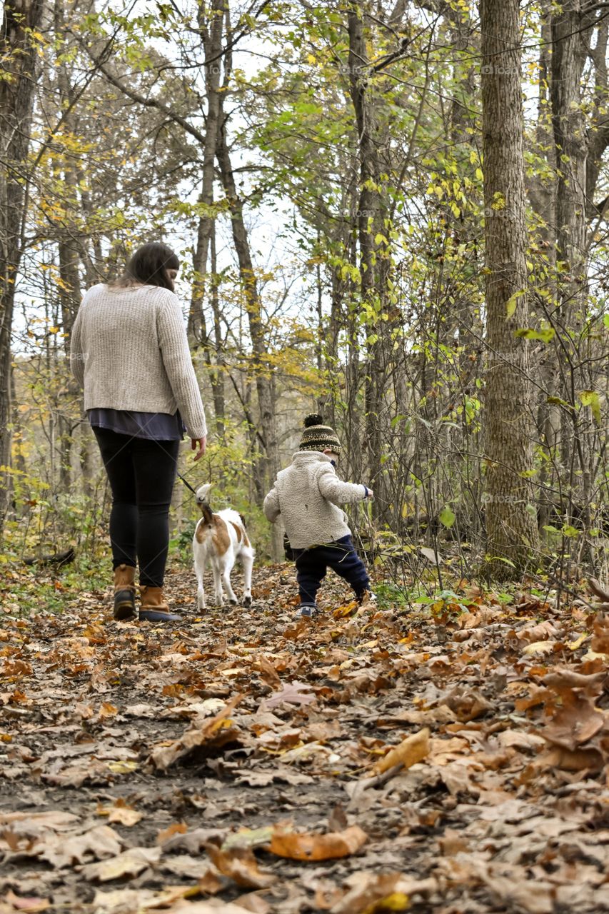 Cute toddler on a hike in hilly forest with his mother and dog 