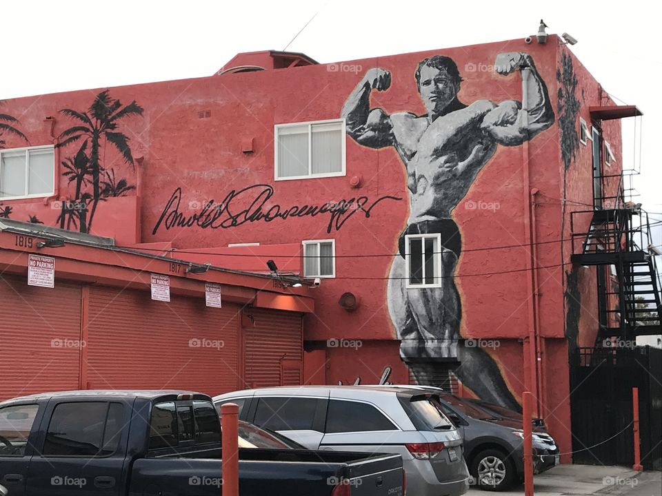 Painting of Arnold Schwarzenegger in Venice Beach California