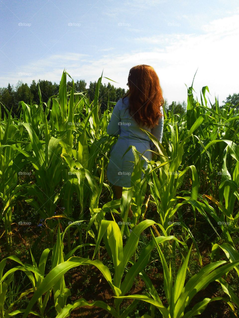 red-haired girl in corn