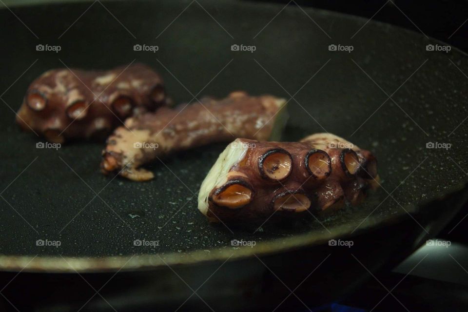 Jellyfish in kitchen