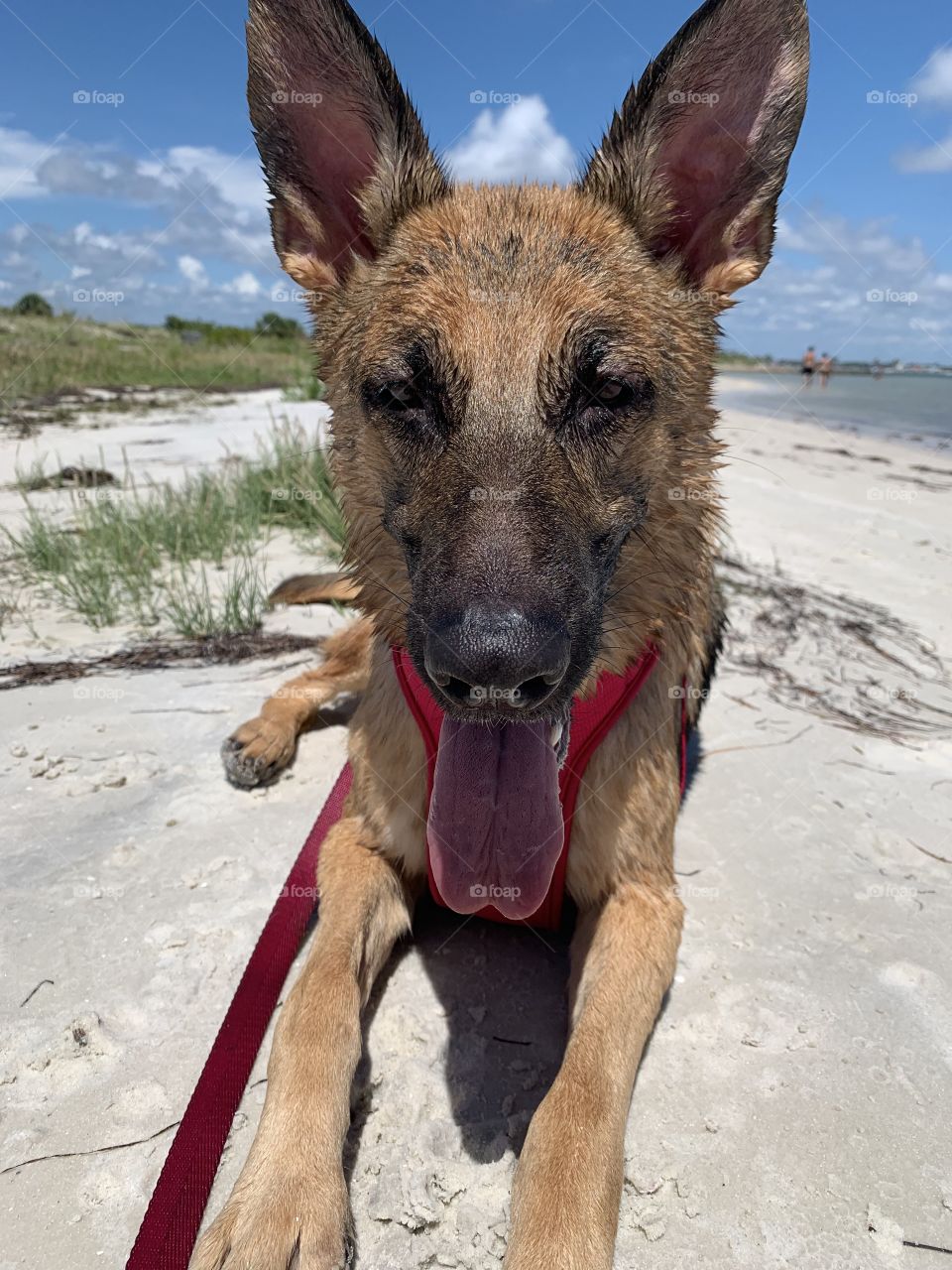 I had so much fun playing at the beach today with my mom!