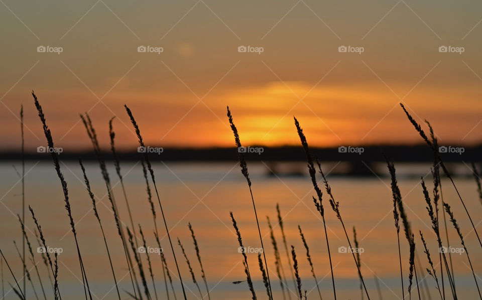 Torkö, Ronneby, Sweden