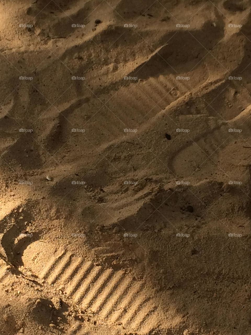 Footprints in the Sand