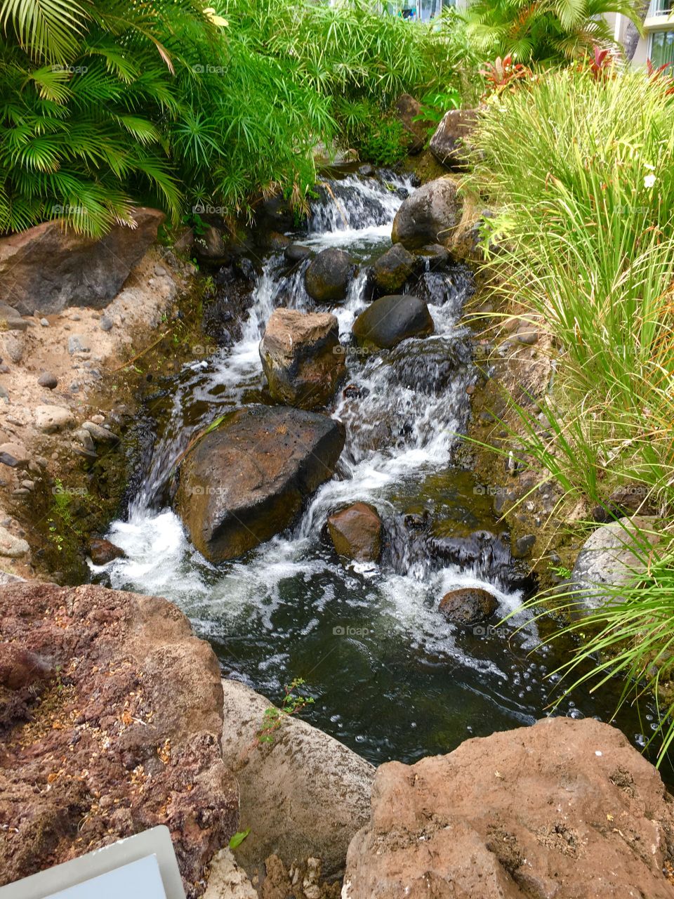 Water, Nature, Stream, Waterfall, No Person