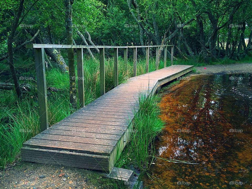 Wooden Bridge Over A Stream