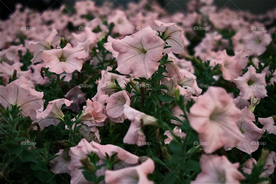 Life and art in visual impressions