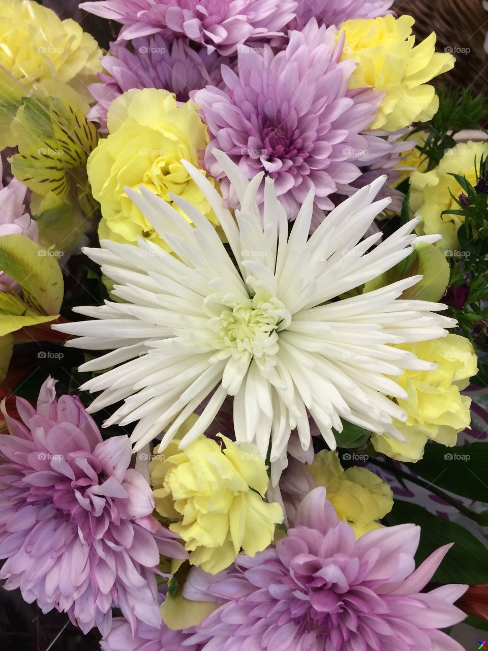 Full frame of flowers