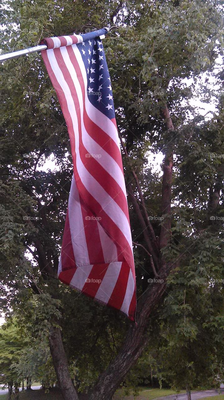 love America. I'm proud of my flag