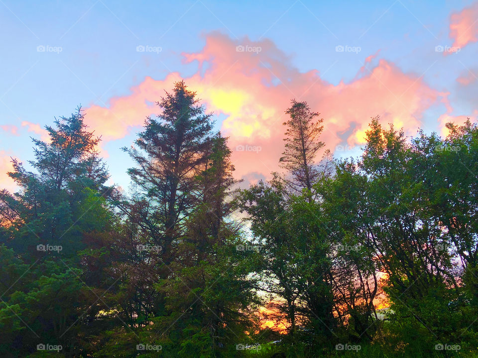 A nice clash of colors I thought.  In any direction my wyes widened with appreciation and gratitude.