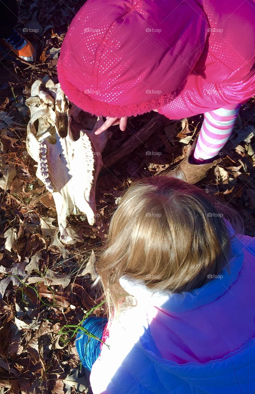 Educating my daughters in the wilderness 