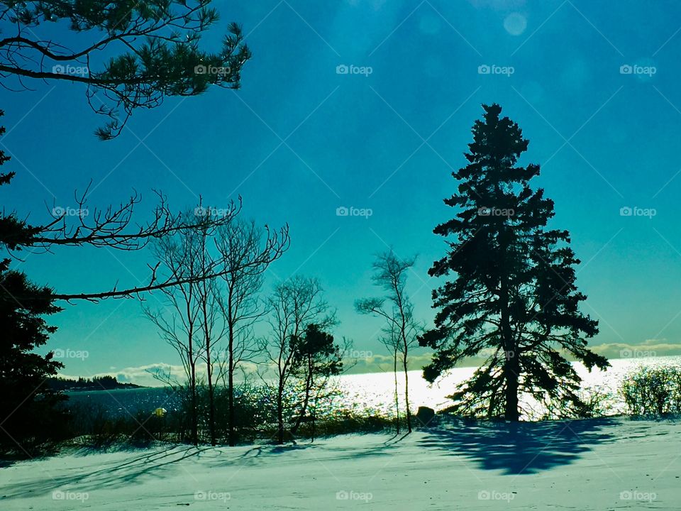 Winter on Pemaquid  Point 