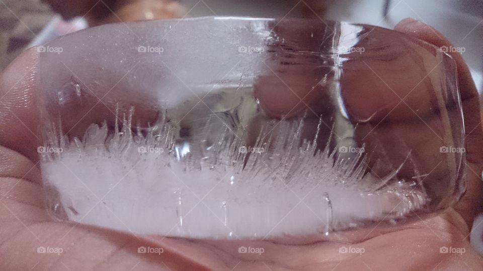 ice cube
water trapped