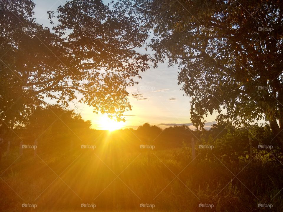 Pôr do Sol Amazônico