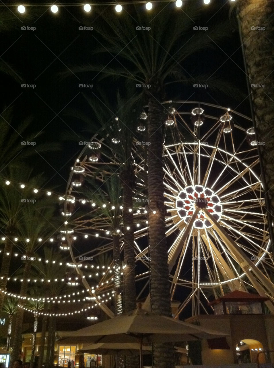 ferris wheel palm trees by arikins