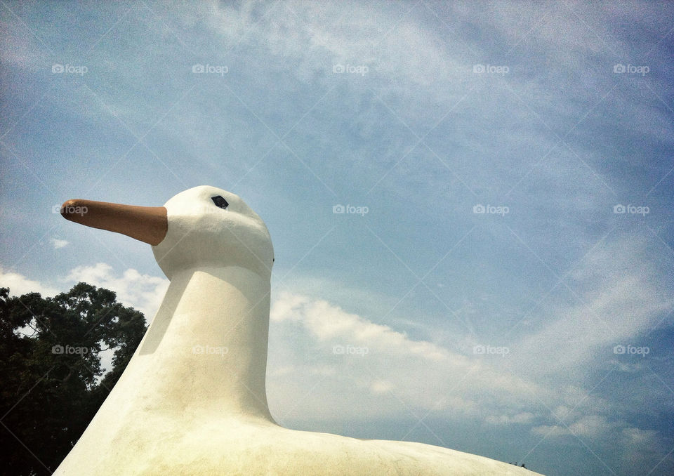 sky blue trees building by meredithk