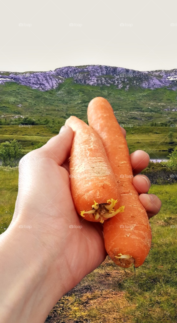 Carrots on the mountains.
