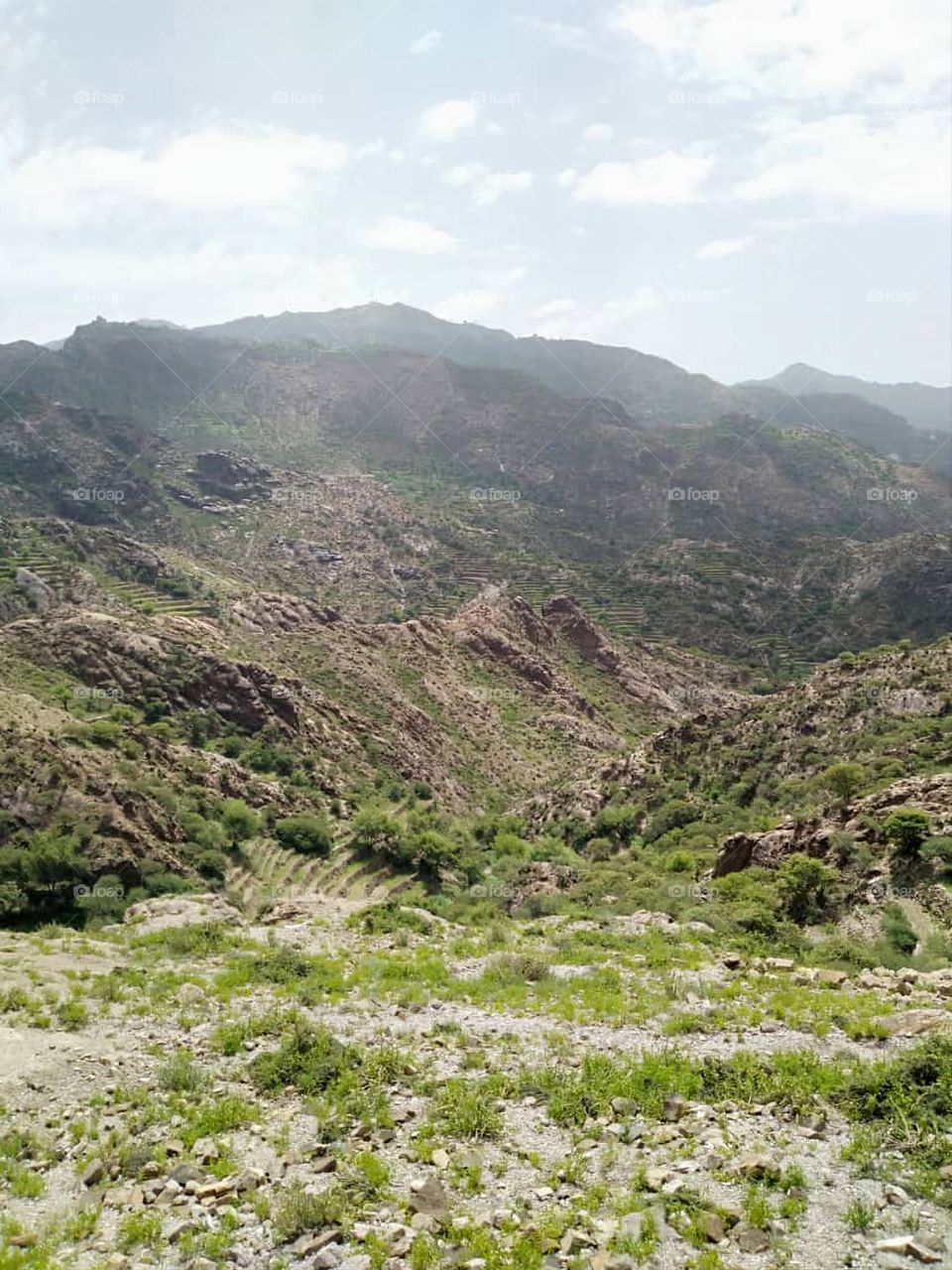 Glory be to God, the magnificent and picturesque view and the natural green trees are a view that is nothing more wonderful than it