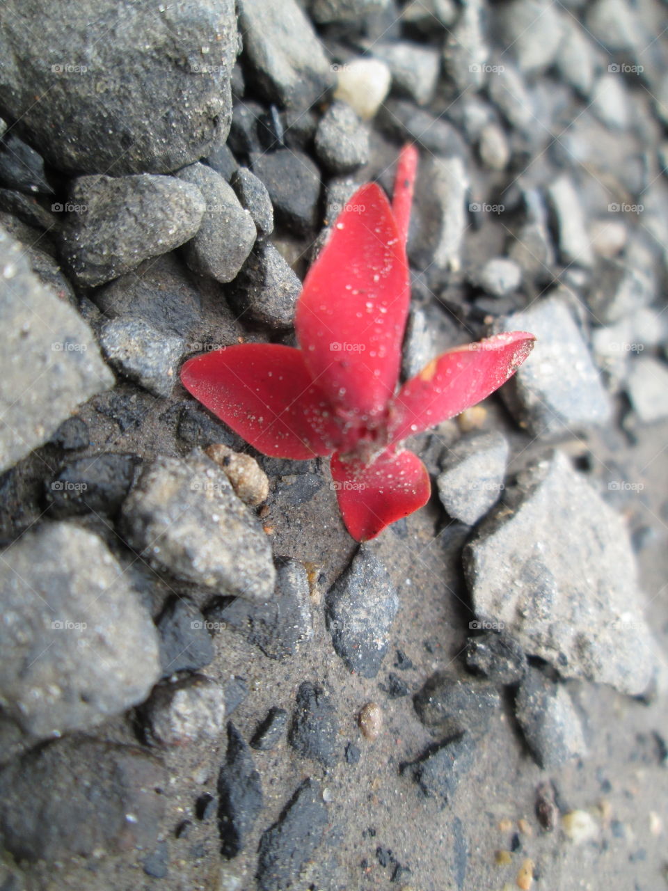 This happen to us when we don't obey our parents!!!!!!!!!