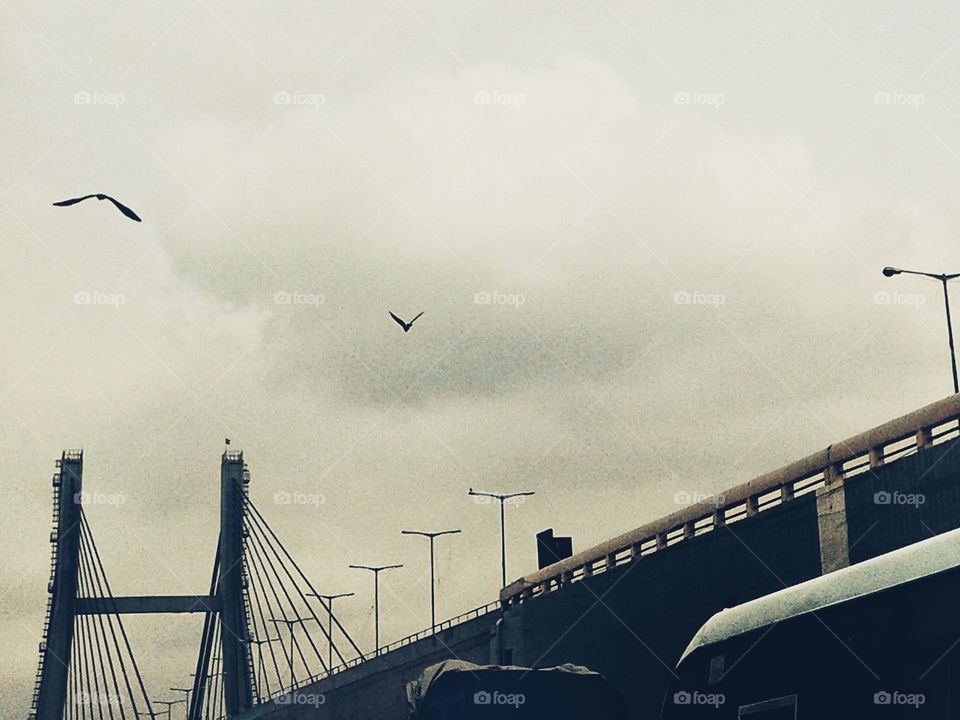 When the eagle does high! ❤