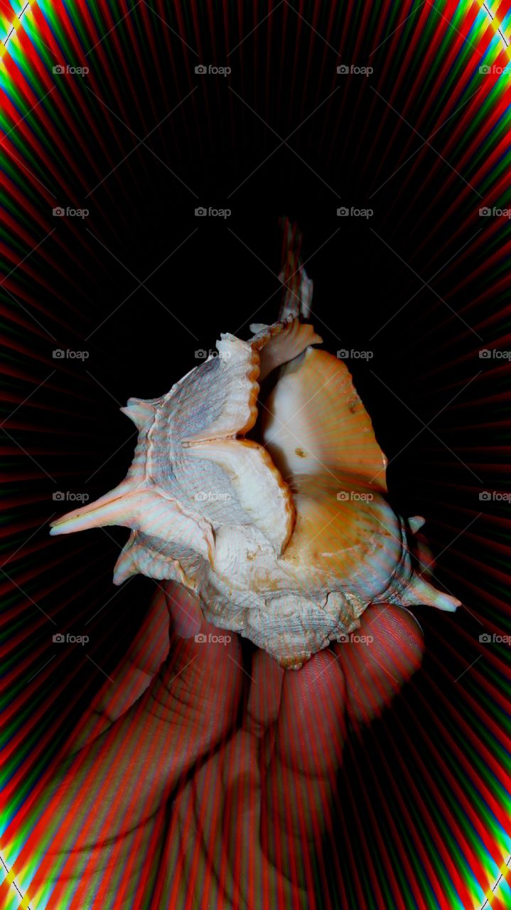 من فواكه البحر ياسلام ديكور اثاث منزلي جميل 
good photo                                                  🐤🐇🐟🐟🐟🐟🐟🐟🐟🐢🐟🐟🐢🐟🐢🐟🐢🐟🐢🐌🐌🐌🐌🐌🐌🐌🐌🐌🐌🐌🐌🐌🐌hhhhhhhhhhhhhhhh