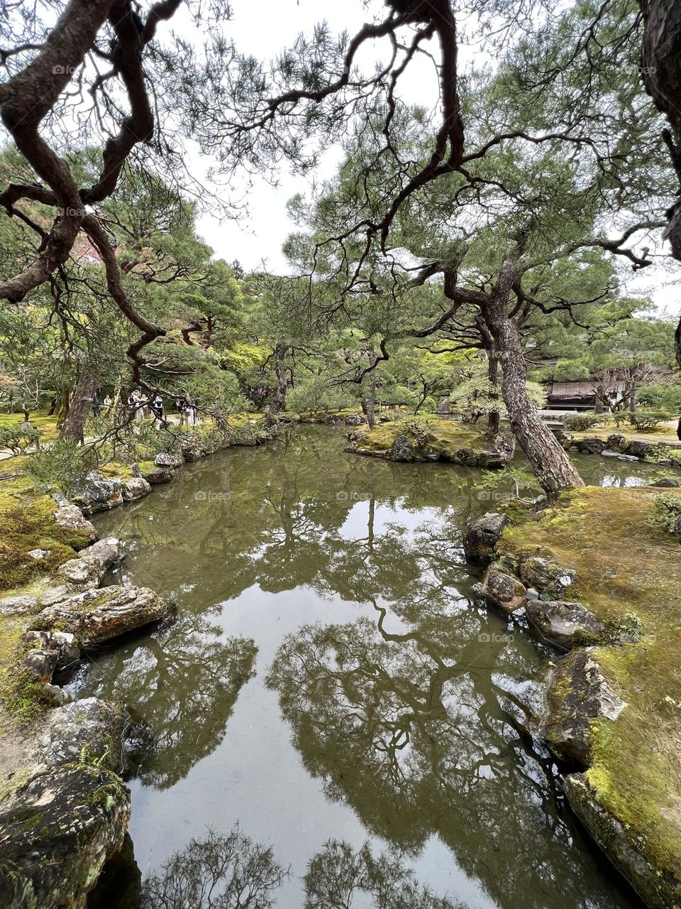 Japanese garden