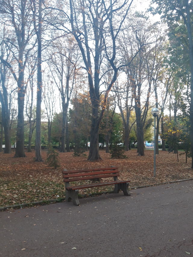 Autumn