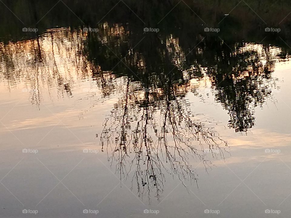 reflections 1