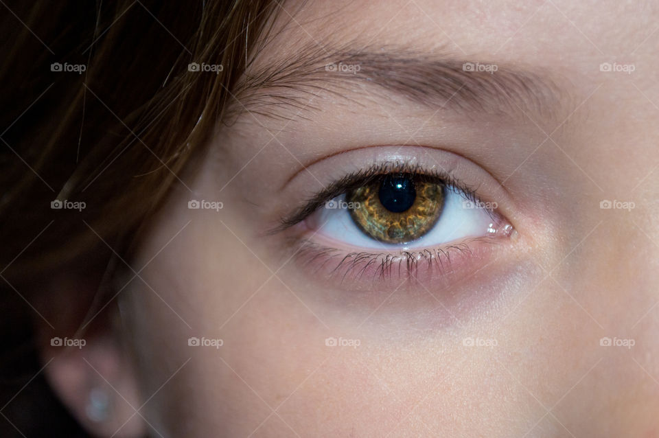 Close-up of human eye
