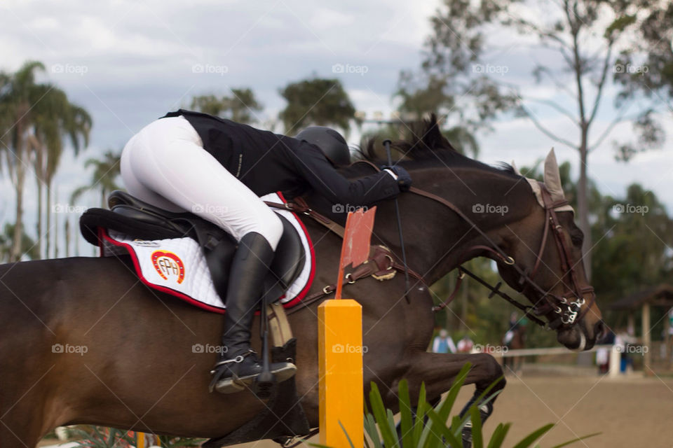 horse jump olimpic by piepernunes