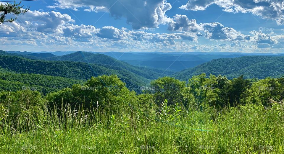 Best Appalachia view 