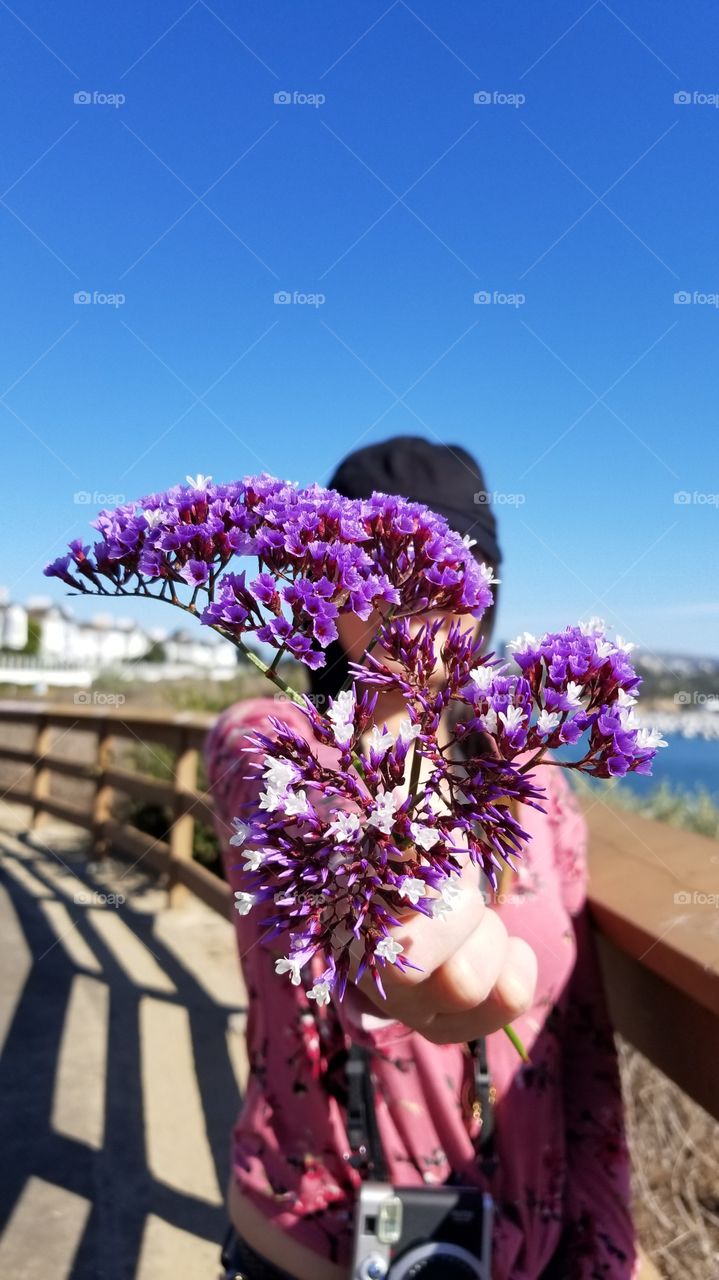 fashionable woman holding a sea lavender flower against the beautiful view of the bay and the city