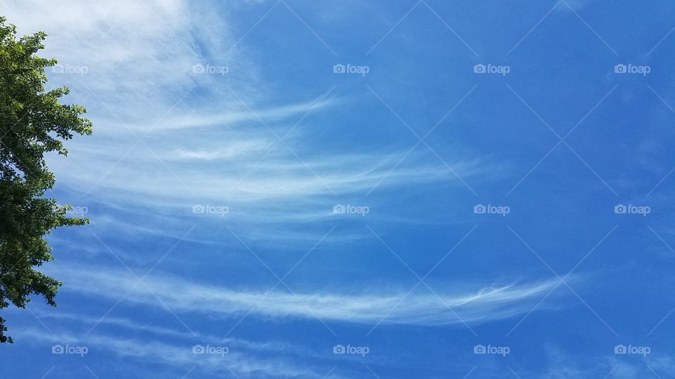 Whispy Clouds